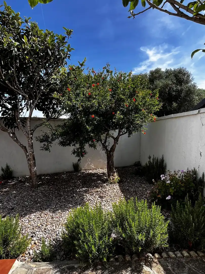 Jardí de Finca rústica en venda en Barbate amb Jardí privat, Terrassa i Traster