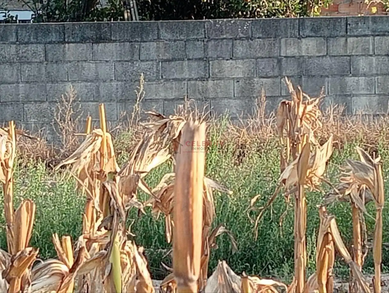 Terreni e lotti in vendita a Nogueira de Ramuín, imagen 4