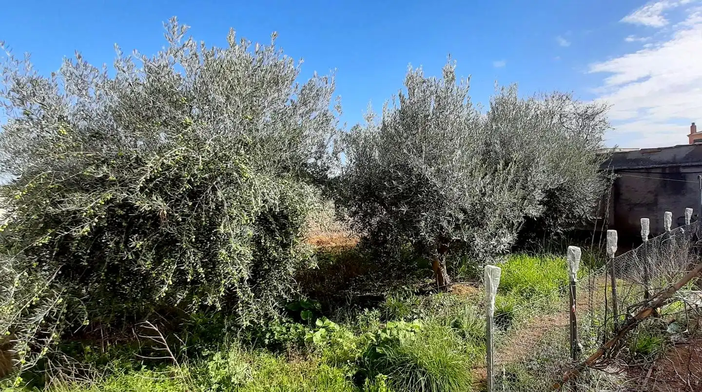 Casa o chalet en venta en Cariñena con Calefacción, Jardín privado y Trastero
