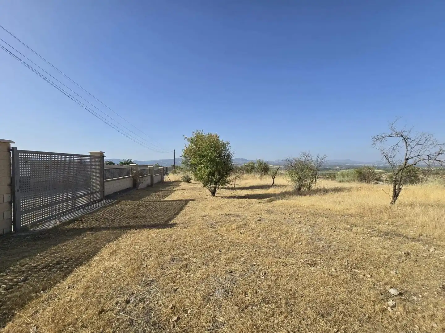 Terreny rústic en venda a Moraleda de Zafayona