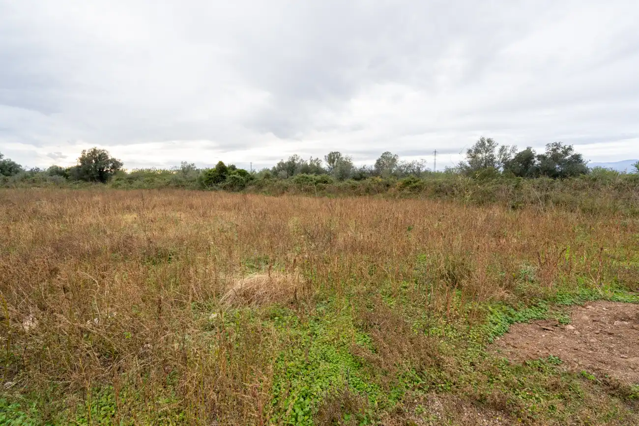 Rural land for sale in Ulldecona, imagen 24