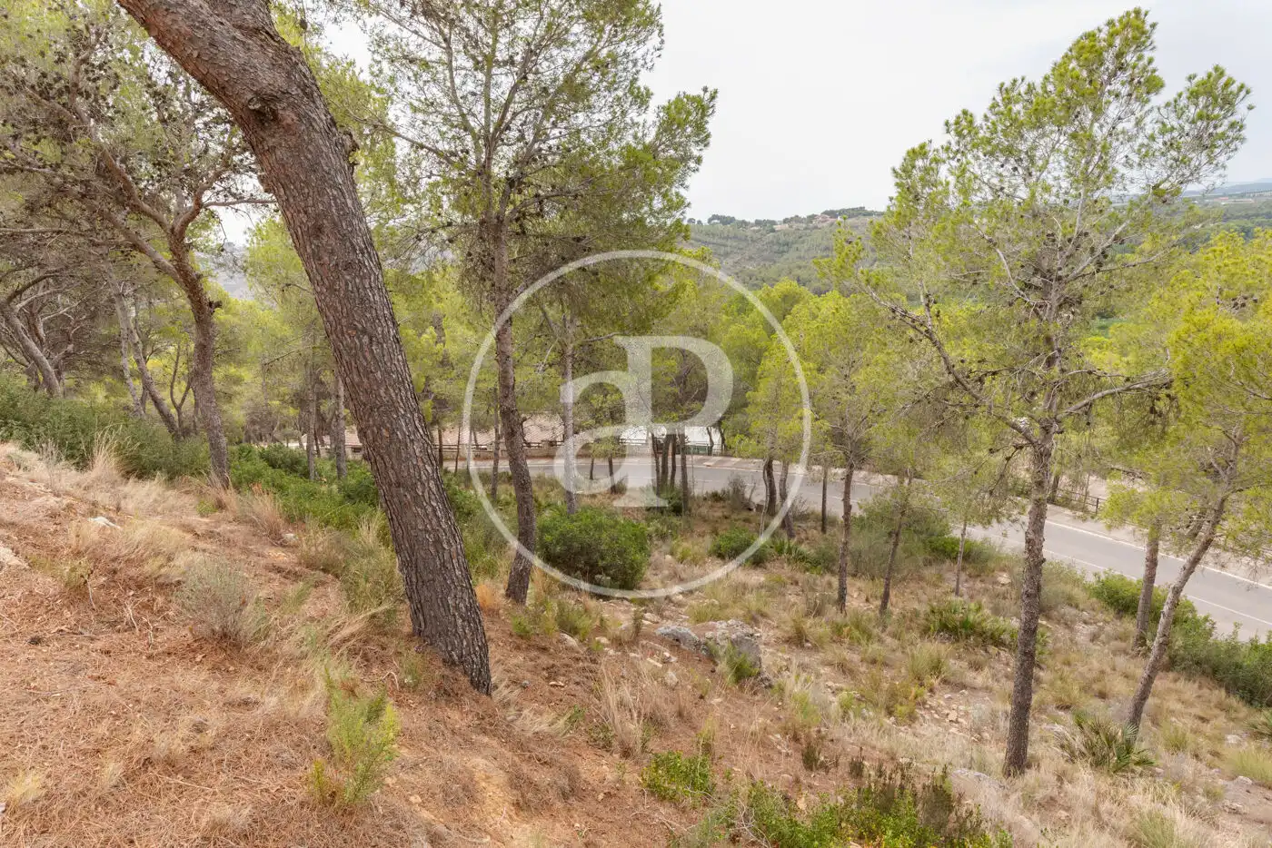 Wohnbaugrundstück zum Verkauf in El Bosque, imagen 21