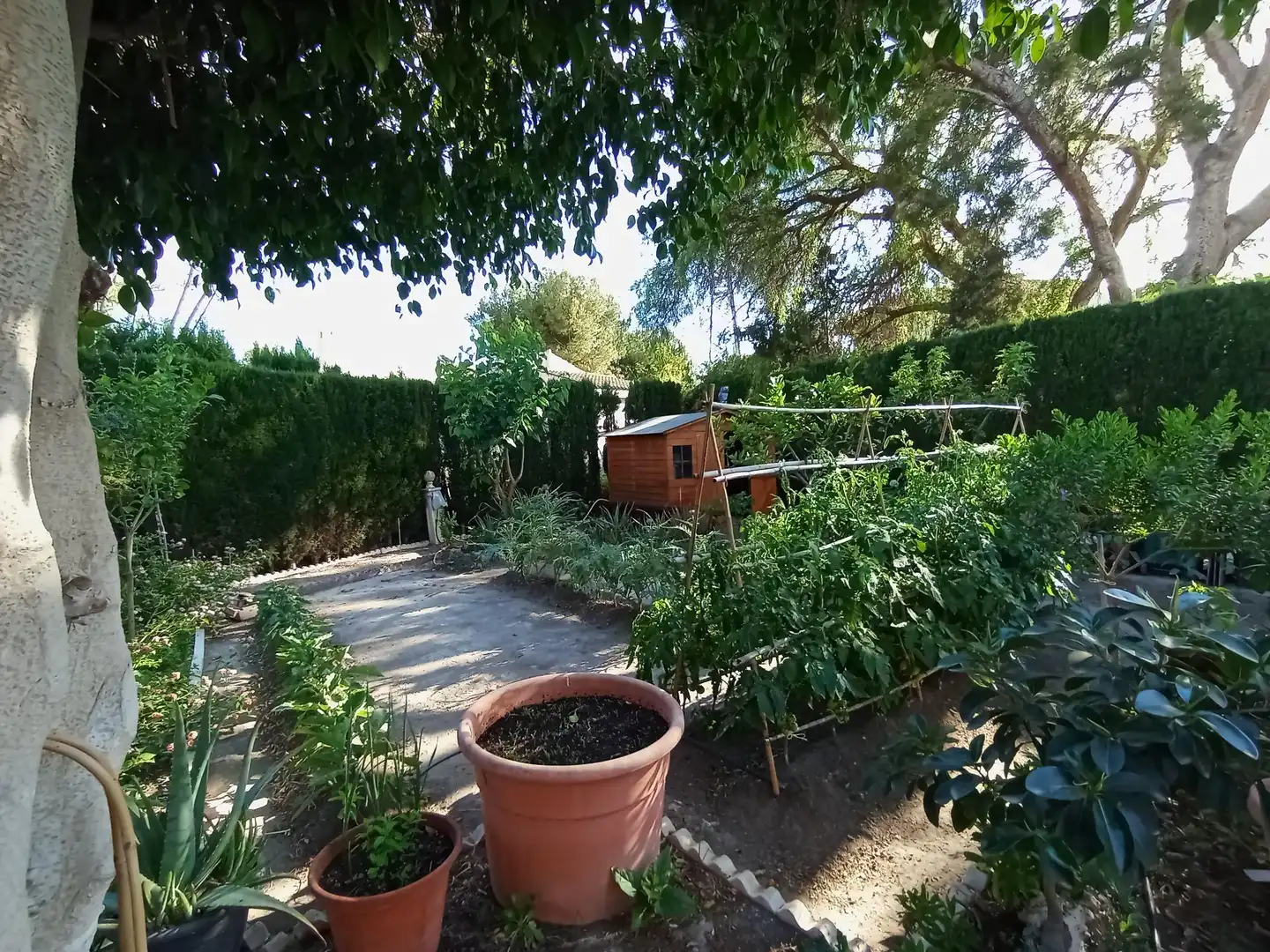 Jardí de Casa o xalet en venda en Mutxamel amb Calefacció, Jardí privat i Traster