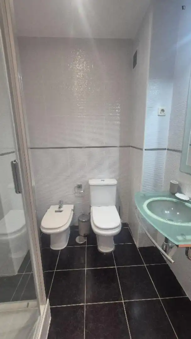 Bathroom of Apartments for rent in Madrid  with Air Conditioner, Heating and Furnished