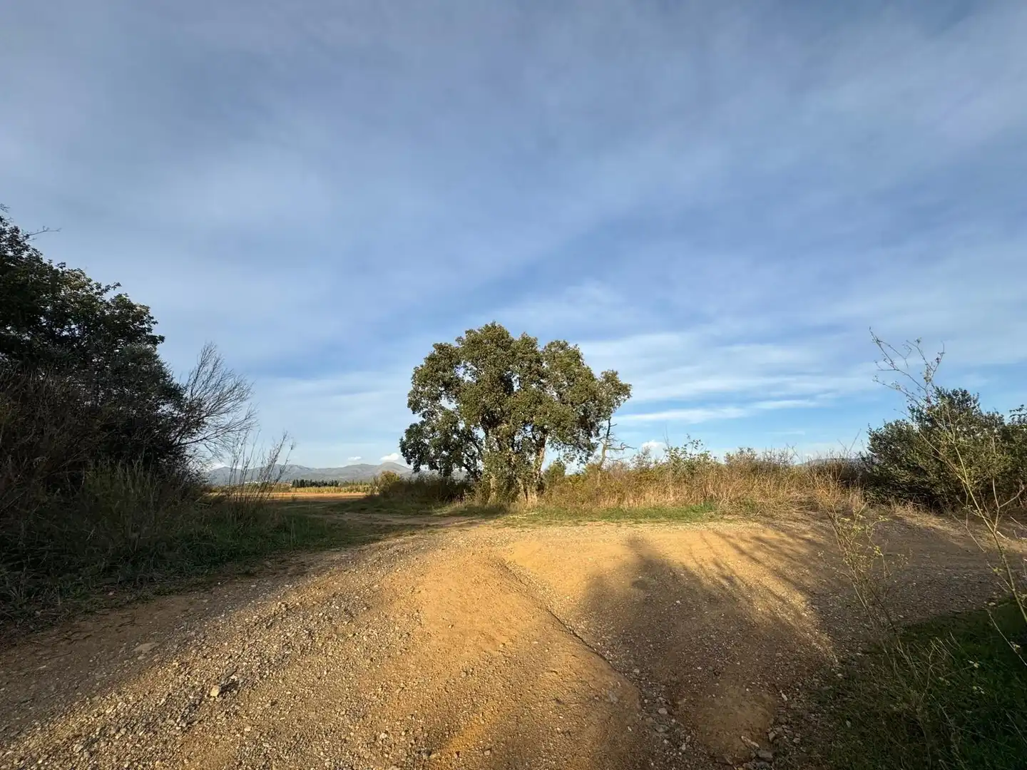 Rural land for sale in Garriguella, imagen 12