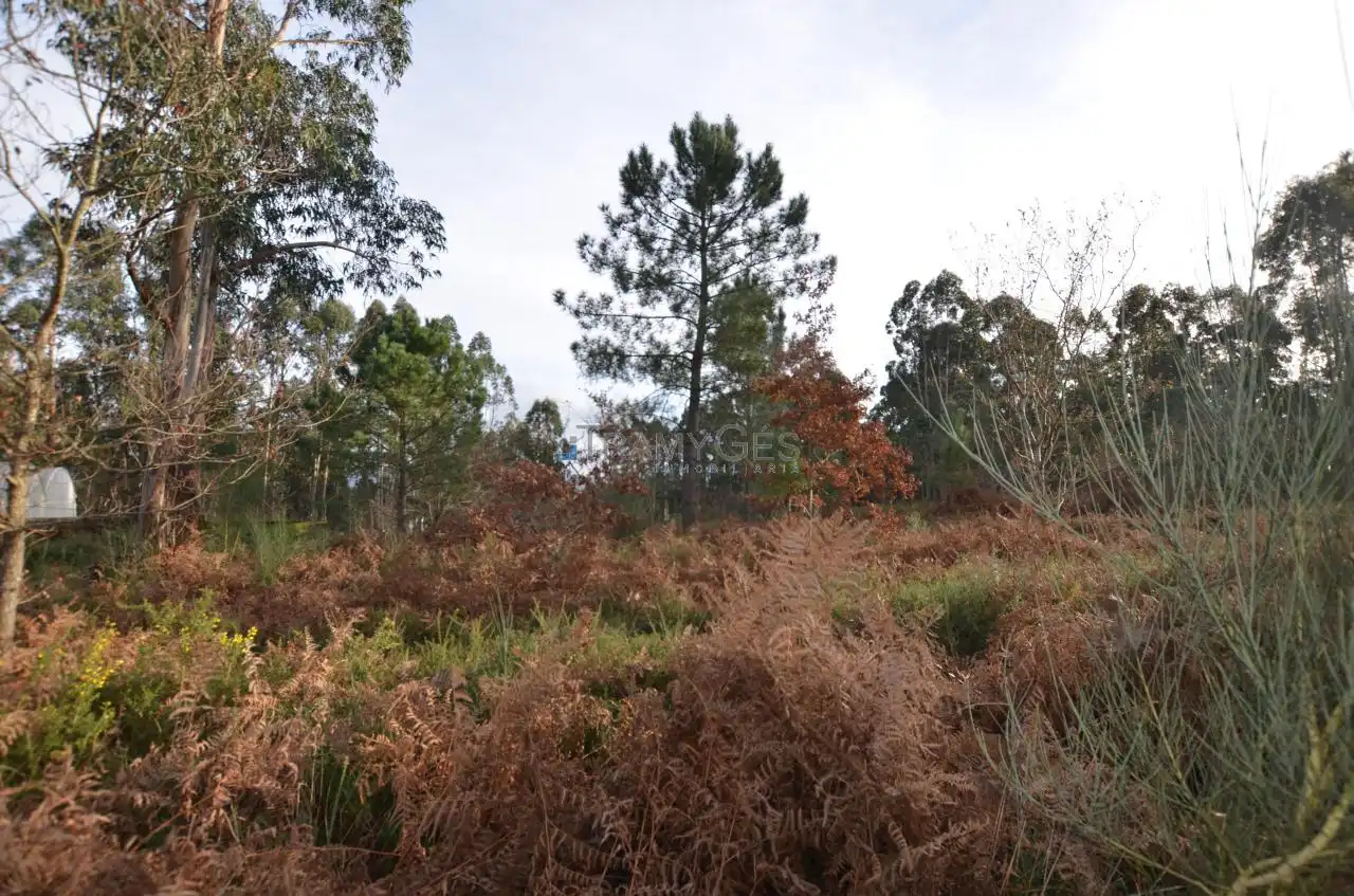 Residential land for sale in LUGAR O MONTE, imagen 33