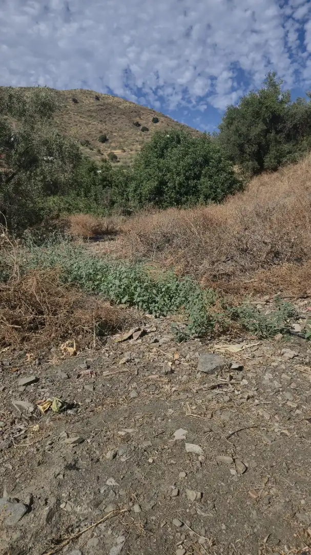 Finca rústica en venta en Rincón de la Victoria con Jardín privado, Terraza y Trastero