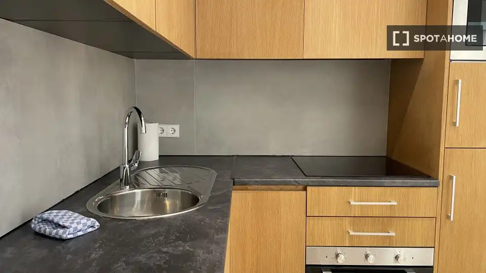 Kitchen of Study for share in Madrid  with Air Conditioner, Terrace and Furnished