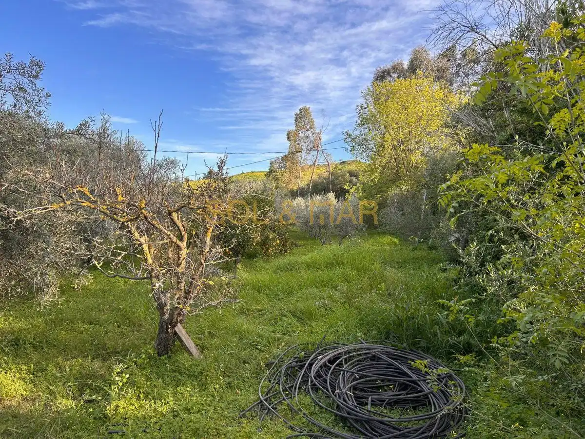 Casa rústica en venta en Nueva Aljaima - Las Tres Leguas - Los Mondeños, imagen 6