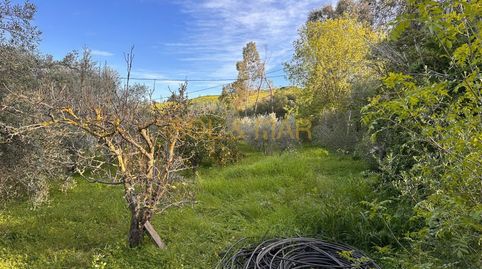 Foto 4 de Finca rústica en venta en N/a, Nueva Aljaima - Las Tres Leguas - Los Mondeños, Cártama