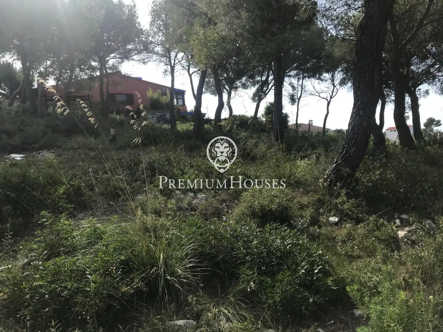 Terreny residencial en venda a Calle De La Rosella, imagen 6