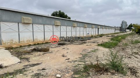 Vivienda Unifamiliar y Explotación Avícola en Bullas, imagen 3