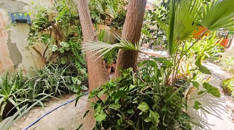 Photo 4 of House or chalet for sale in Berja, Almería