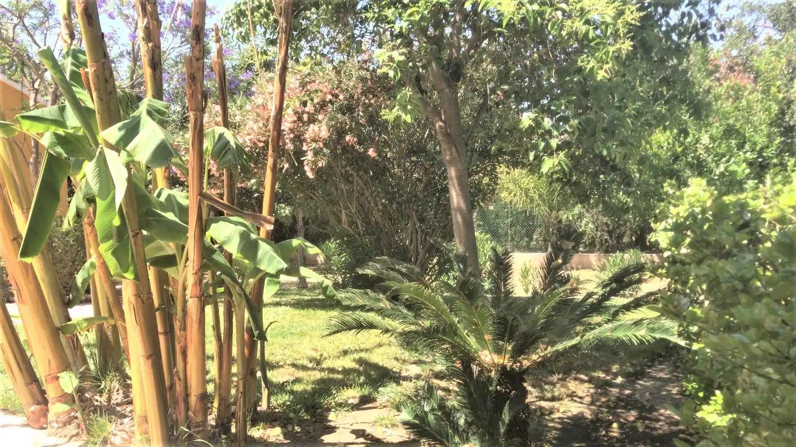 Xalet amb piscina en venda a Pedanías Centro, imagen 23