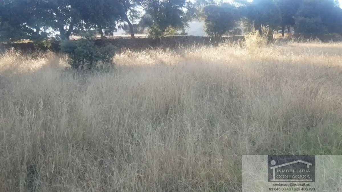 Finca rústica en venta en Colmenar Viejo