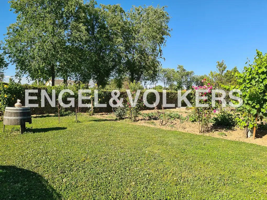 Casa o xalet en venda en Fuente El Saz de Jarama amb Calefacció, Jardí privat i Terrassa