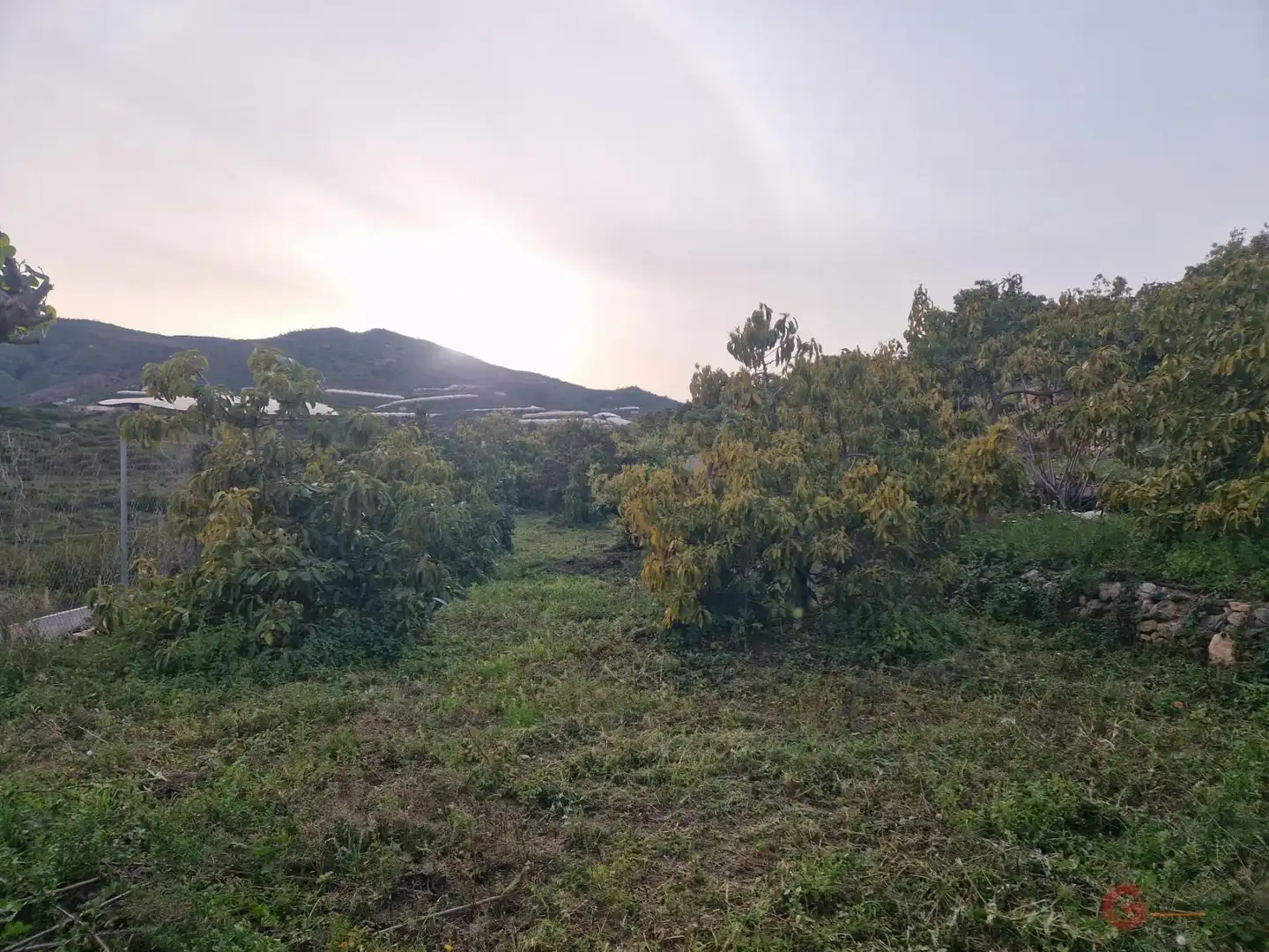 Casa rústica en venda a Ítrabo, imagen 3