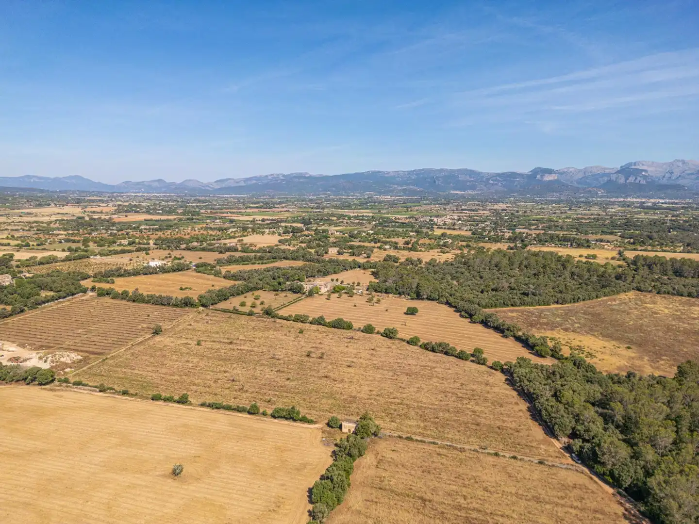 Rural land for sale in Sencelles, imagen 3