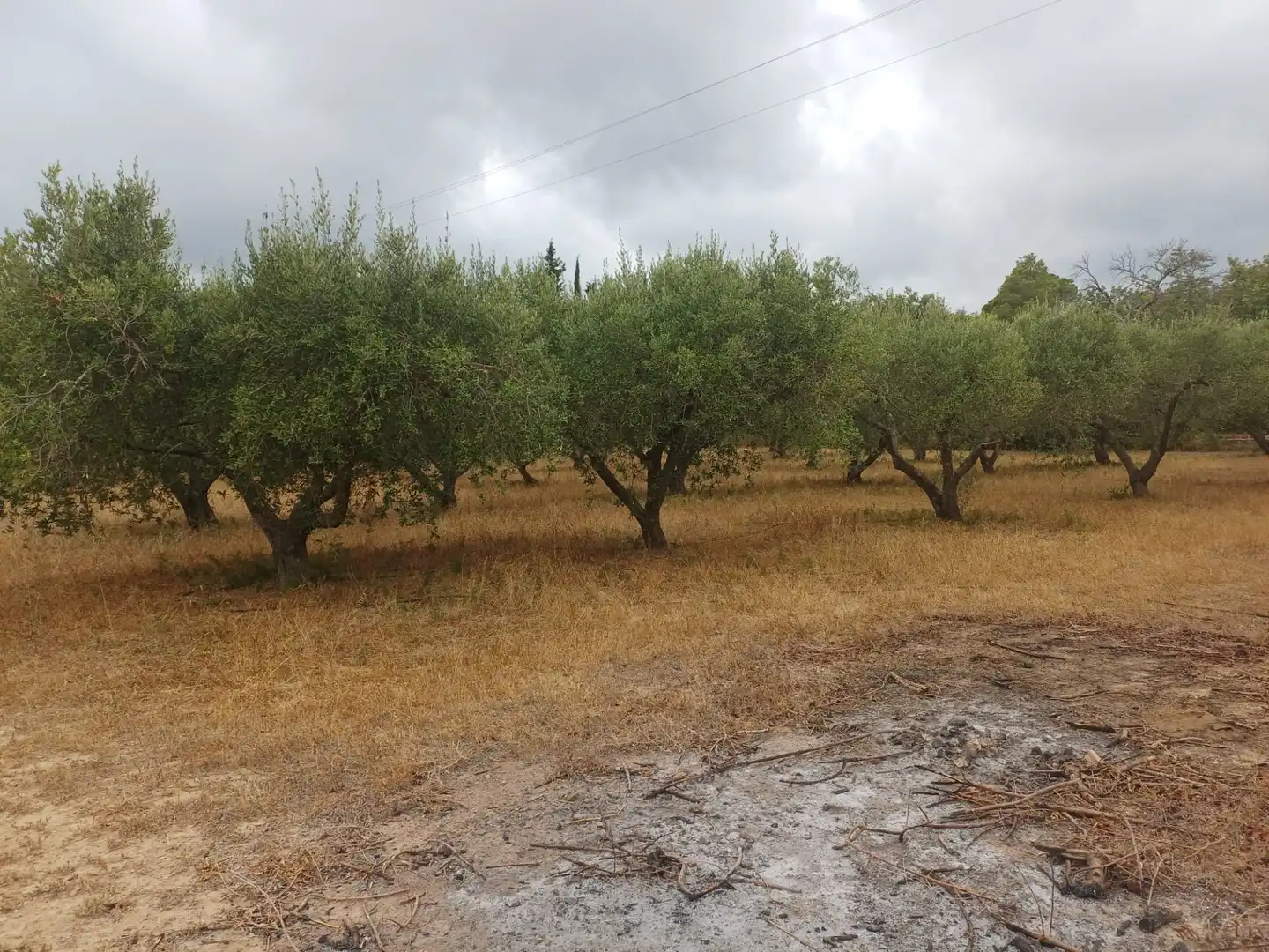 Terreno en venta en Vilanova d'Escornalbou