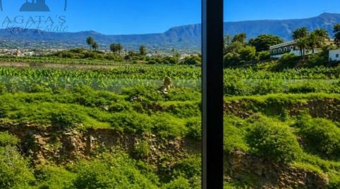 Foto 3 von Erdgeschoss zum Verkauf in Ecuador, Longuera - Toscal, Los Realejos