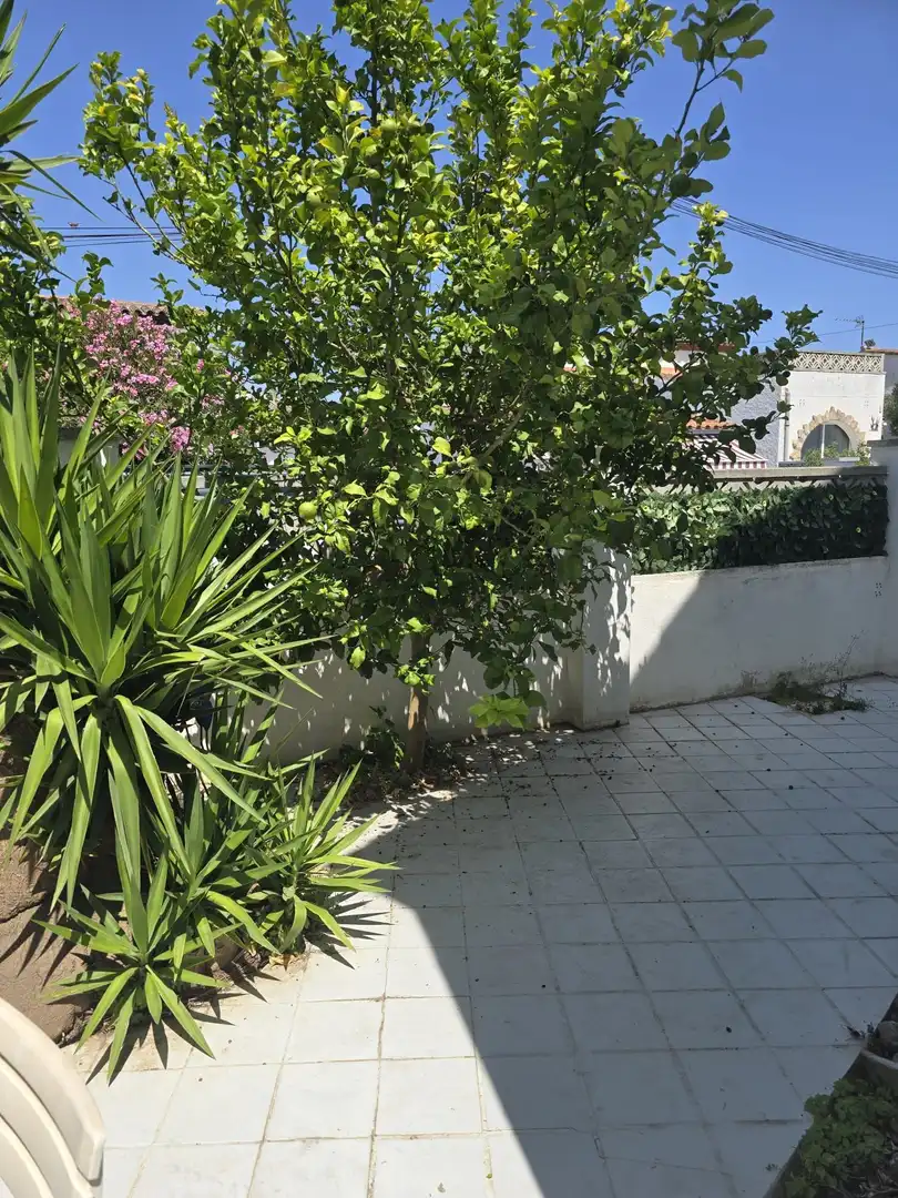 Casa con jardín en venta en Puigmal - Mas Nou, imagen 2