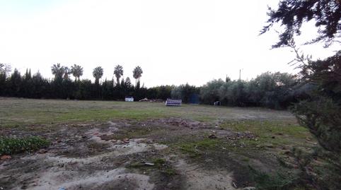 Photo 2 of Residential for sale in Marchena, Carmona, Sevilla