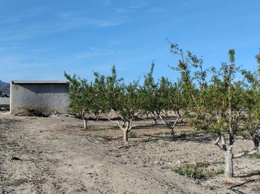 Terreno rustico in vendita a Totana