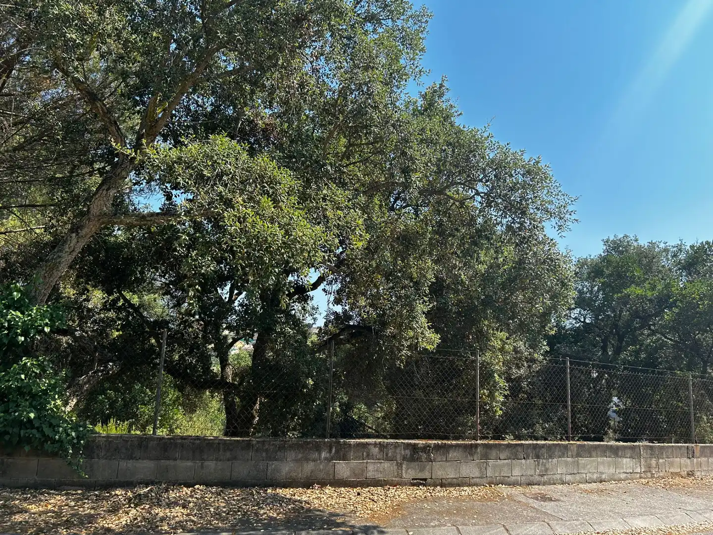 Terreno residencial en venta en Niàgara Parc - Àgora Parc, imagen 5