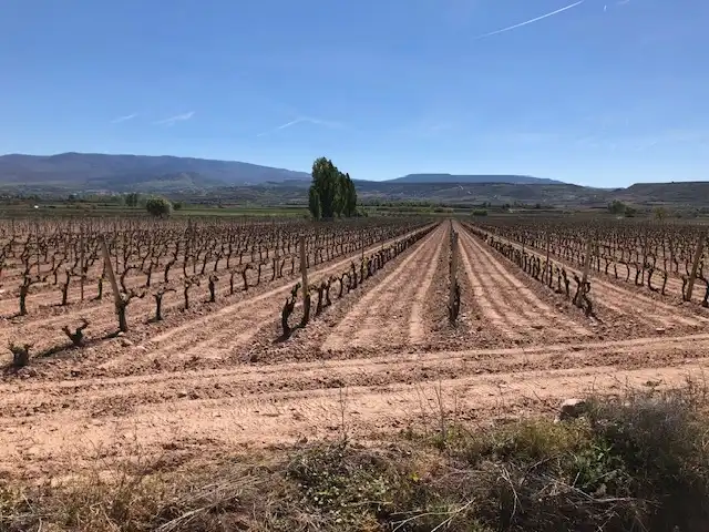 Rustikales Grundstück zum Verkauf in Navarrete, imagen 5