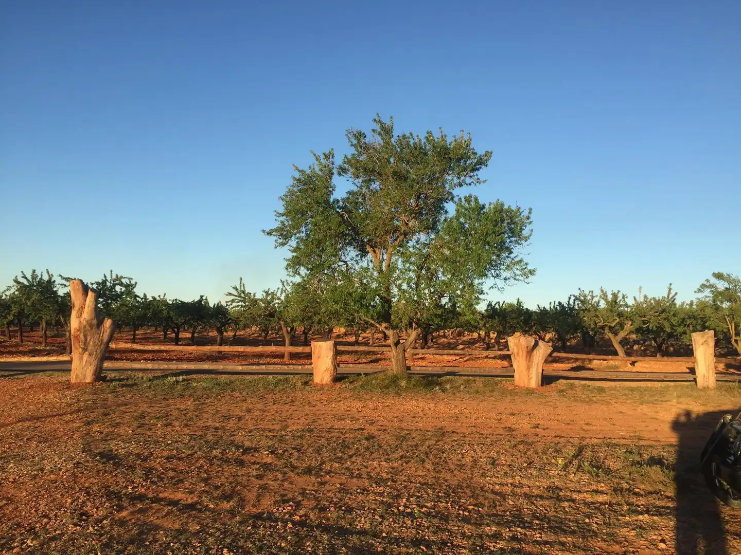 Casa rústica en venda a Vall d'Alba, imagen 10
