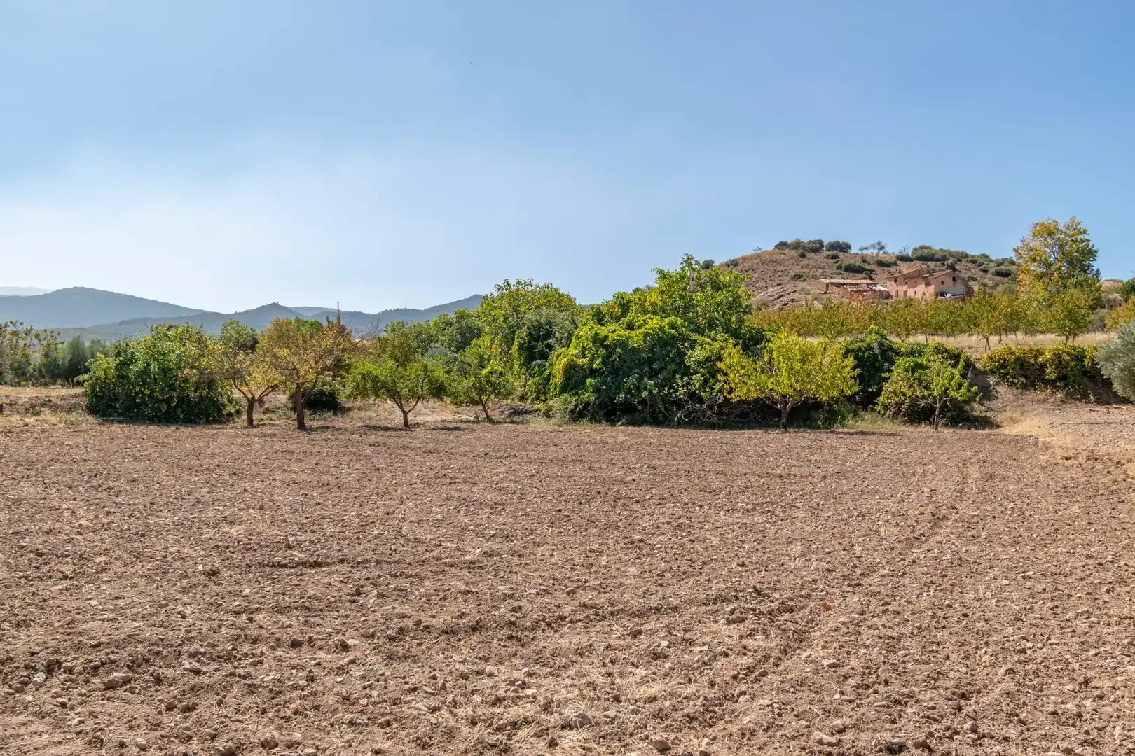 Finca rústica en venta en Vereda morollon, La Peza