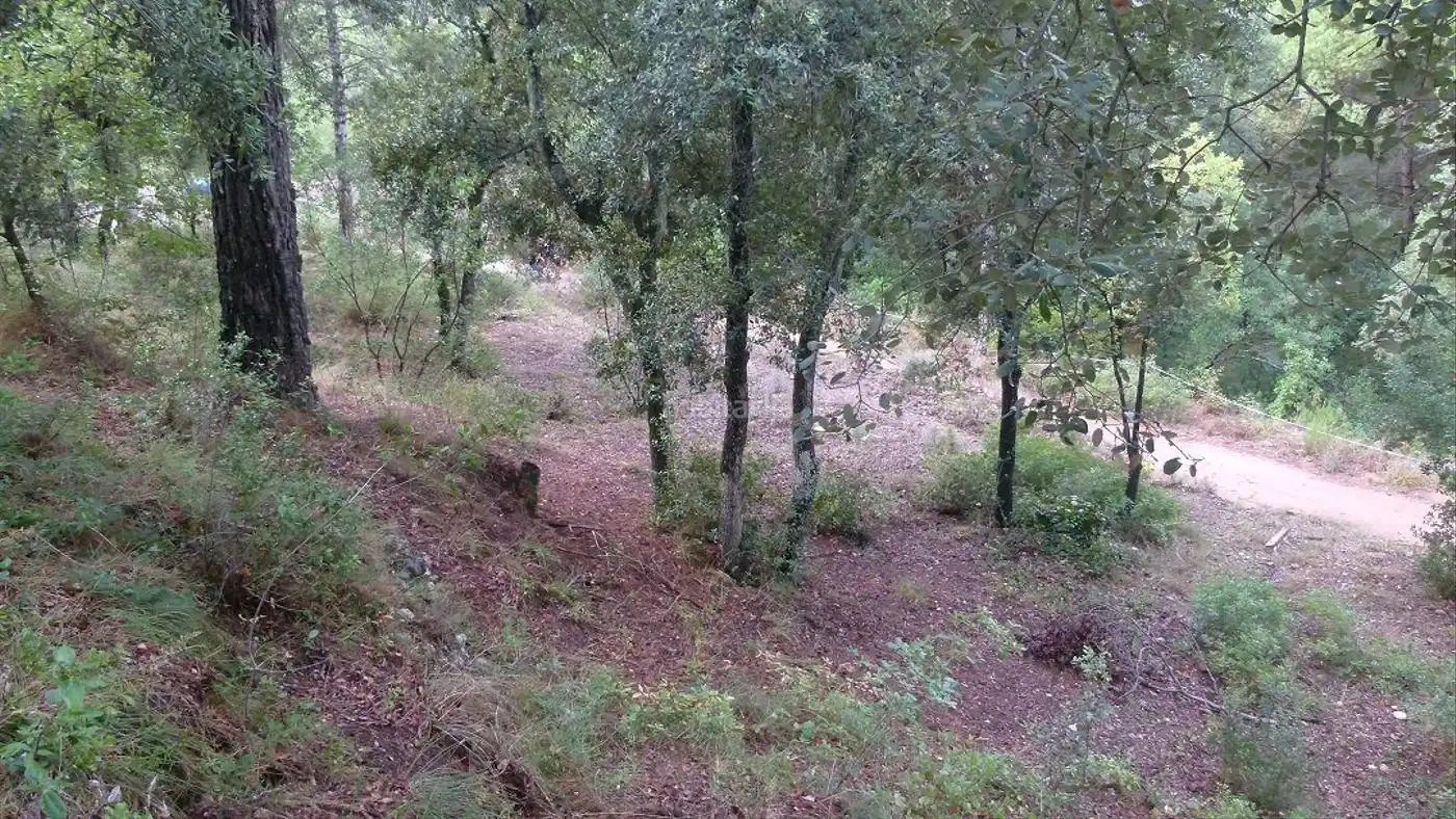 Residential land for sale in Calle Sant Llorençæ’ de Munt 44, imagen 5