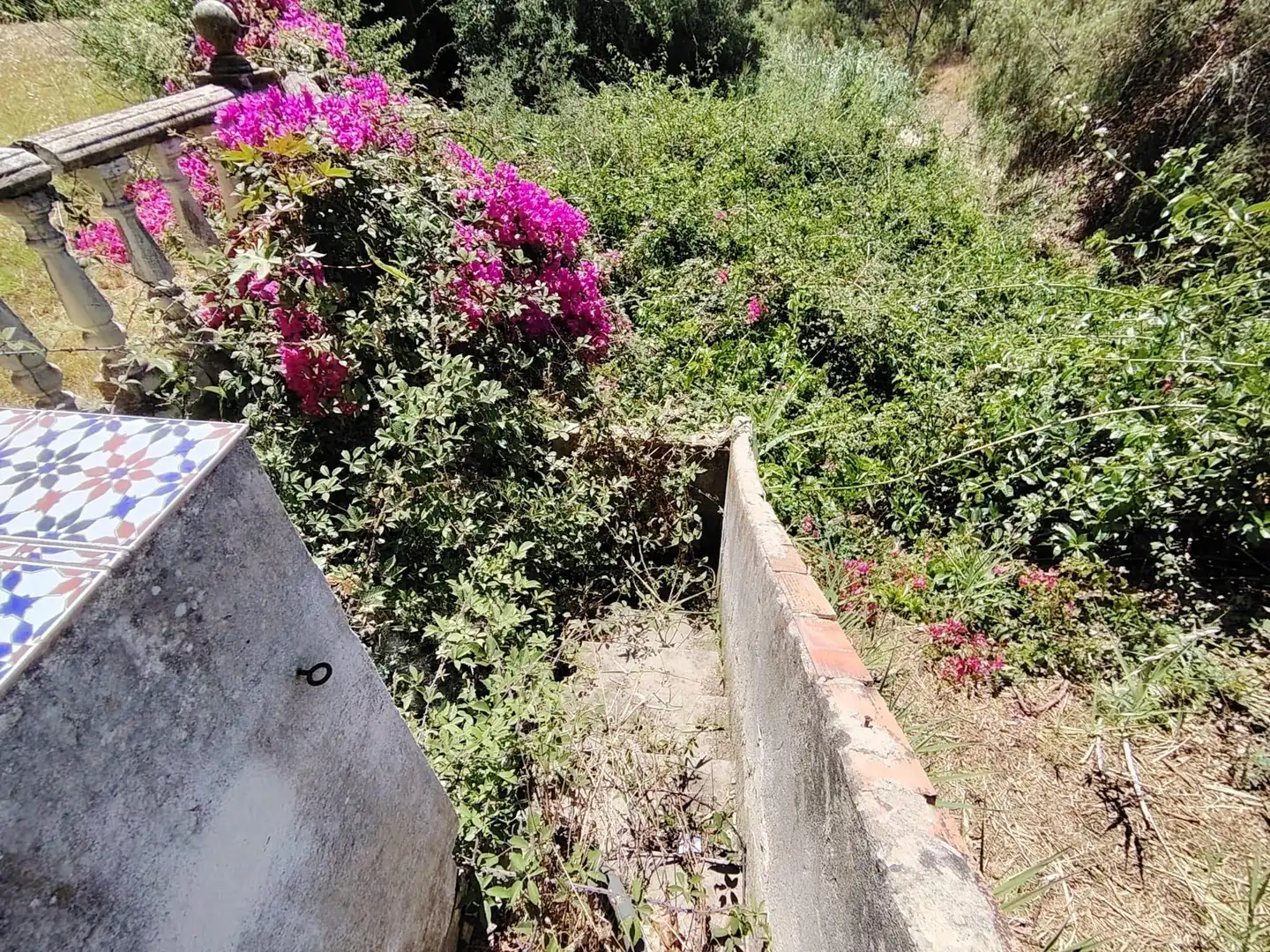 Terreni e lotti in vendita a Montealto - Monterrey, imagen 16