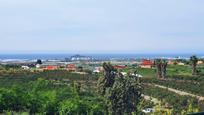 Finca rústica en venda en Motril amb Aire condicionat, Calefacció i Jardí privat