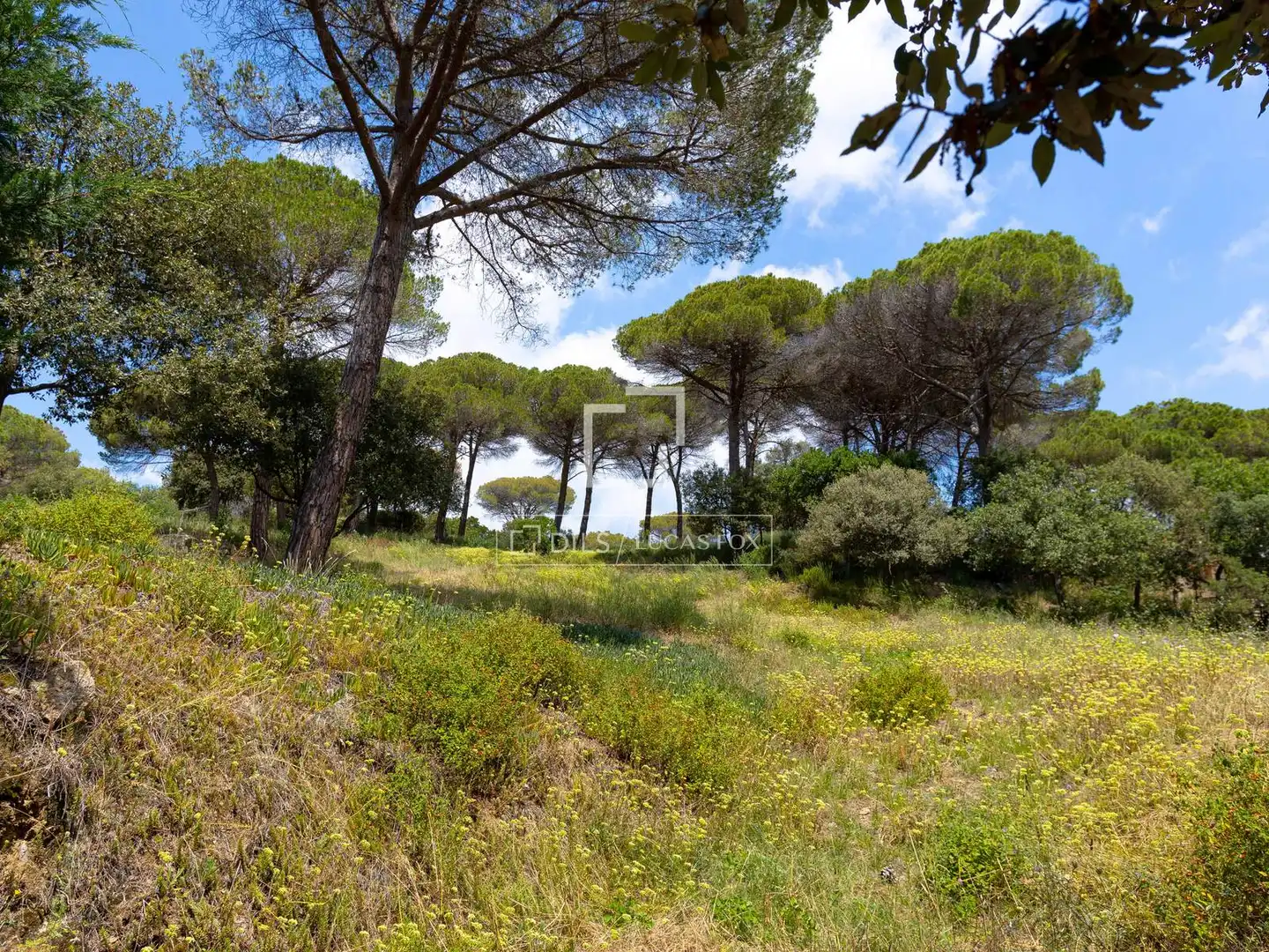 Rural land for sale in Vallromanes, imagen 21