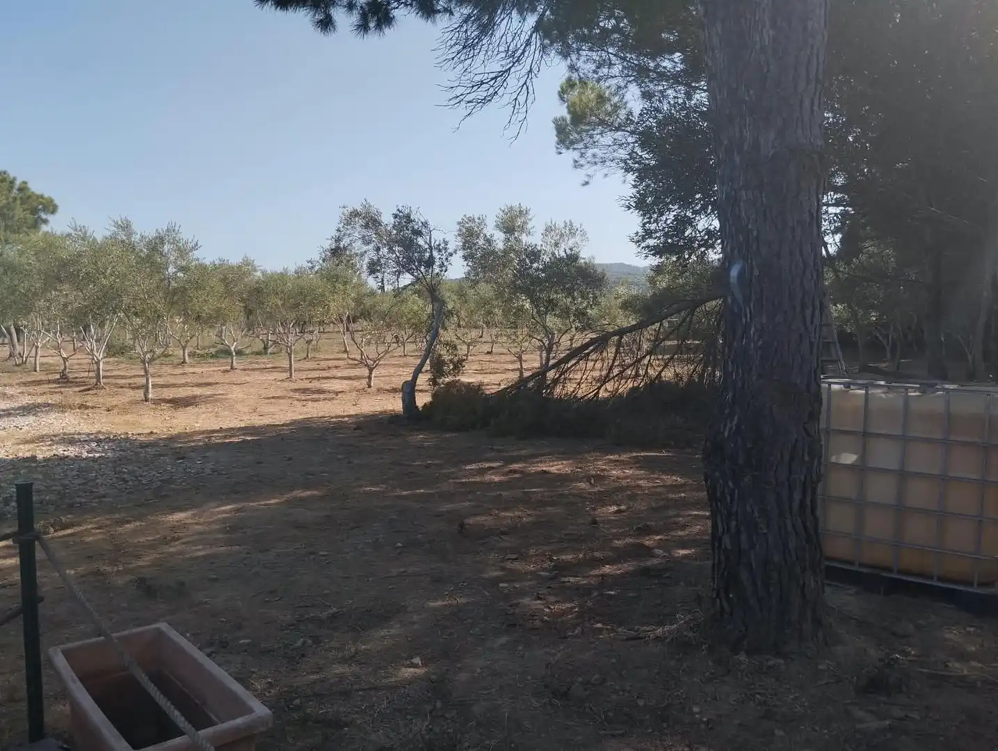 Finca rústica en venda a La Punxa