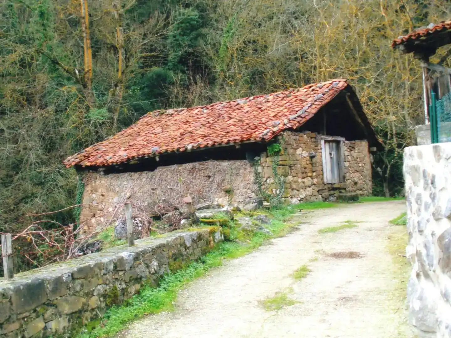 Vista exterior de Finca rústica en venda en Camaleño