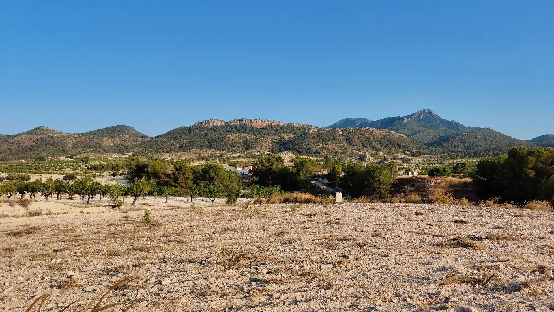 Terreno rustico in vendita a Jumilla, imagen 11