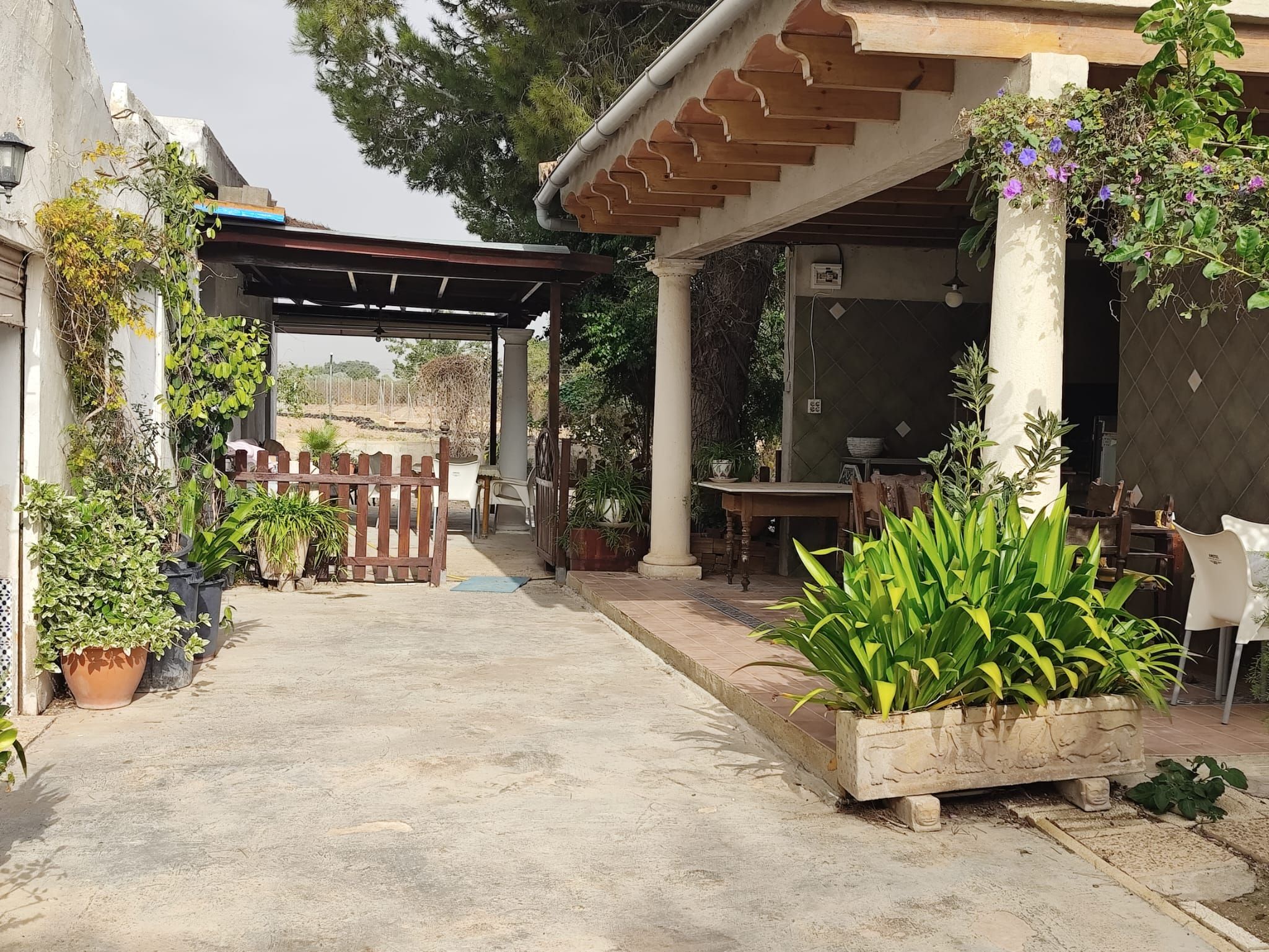 Garden of House or chalet for sale in Elche / Elx  with Private garden and Furnished