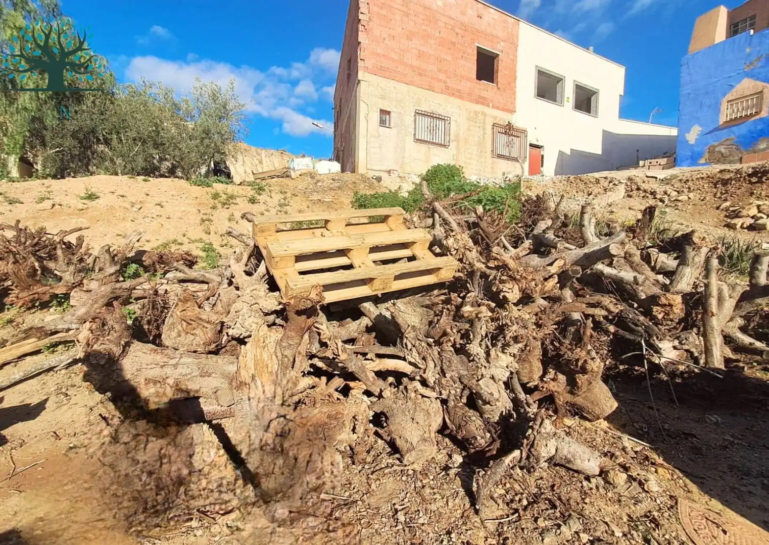 Vista exterior de Casa o chalet en venta en Mazarrón