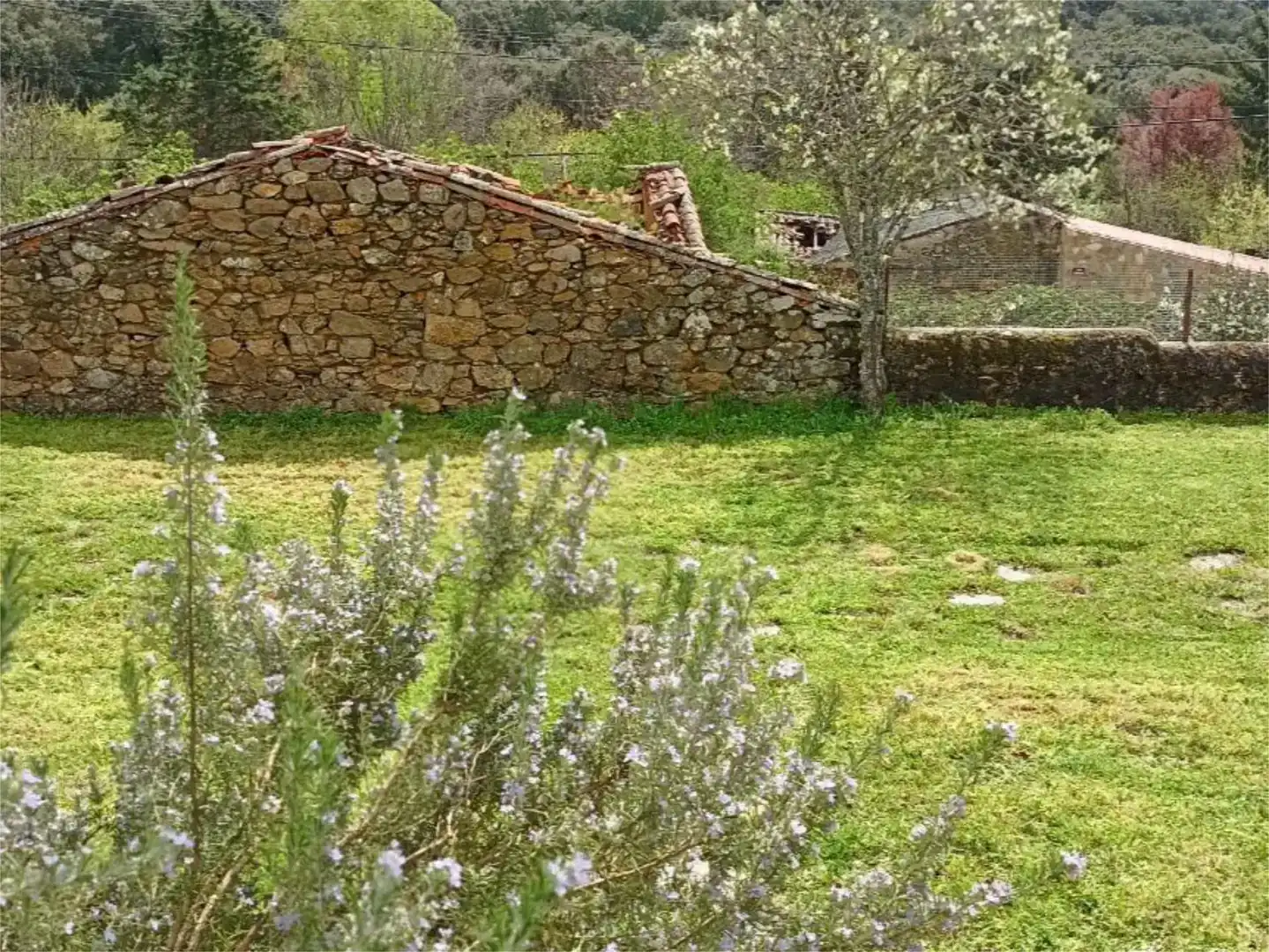 Planta baja en venta en Membribe de la Sierra con Amueblado