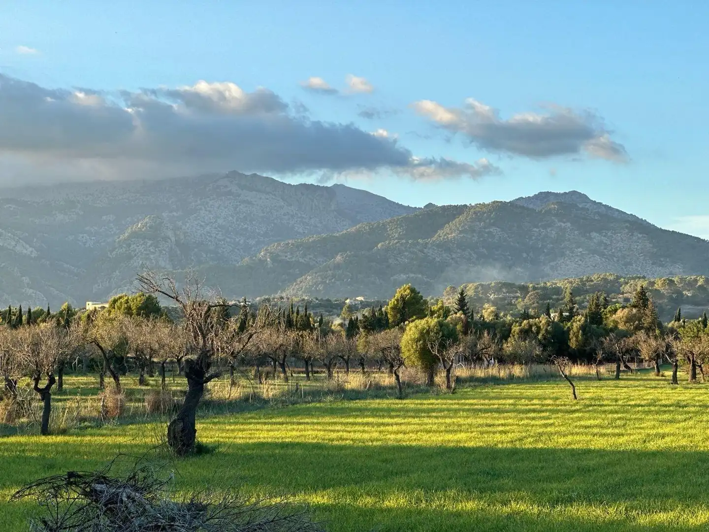 Terreno residenziale in vendita a Camino Selva, imagen 15