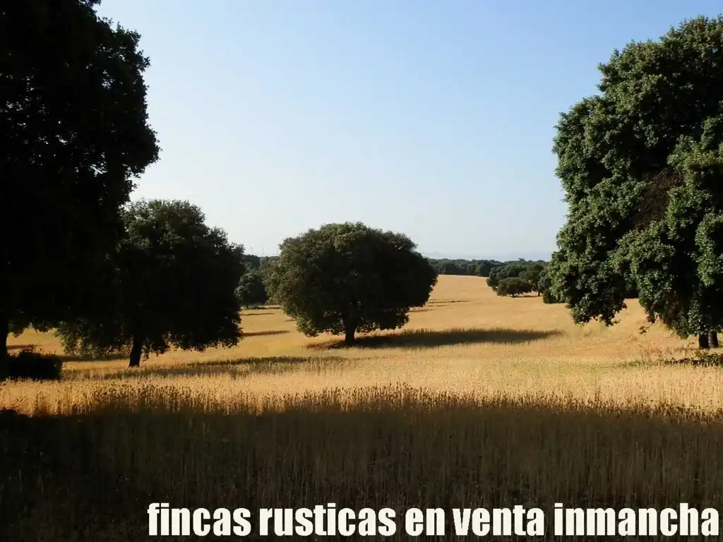 Terreno en venta en Alcaraz