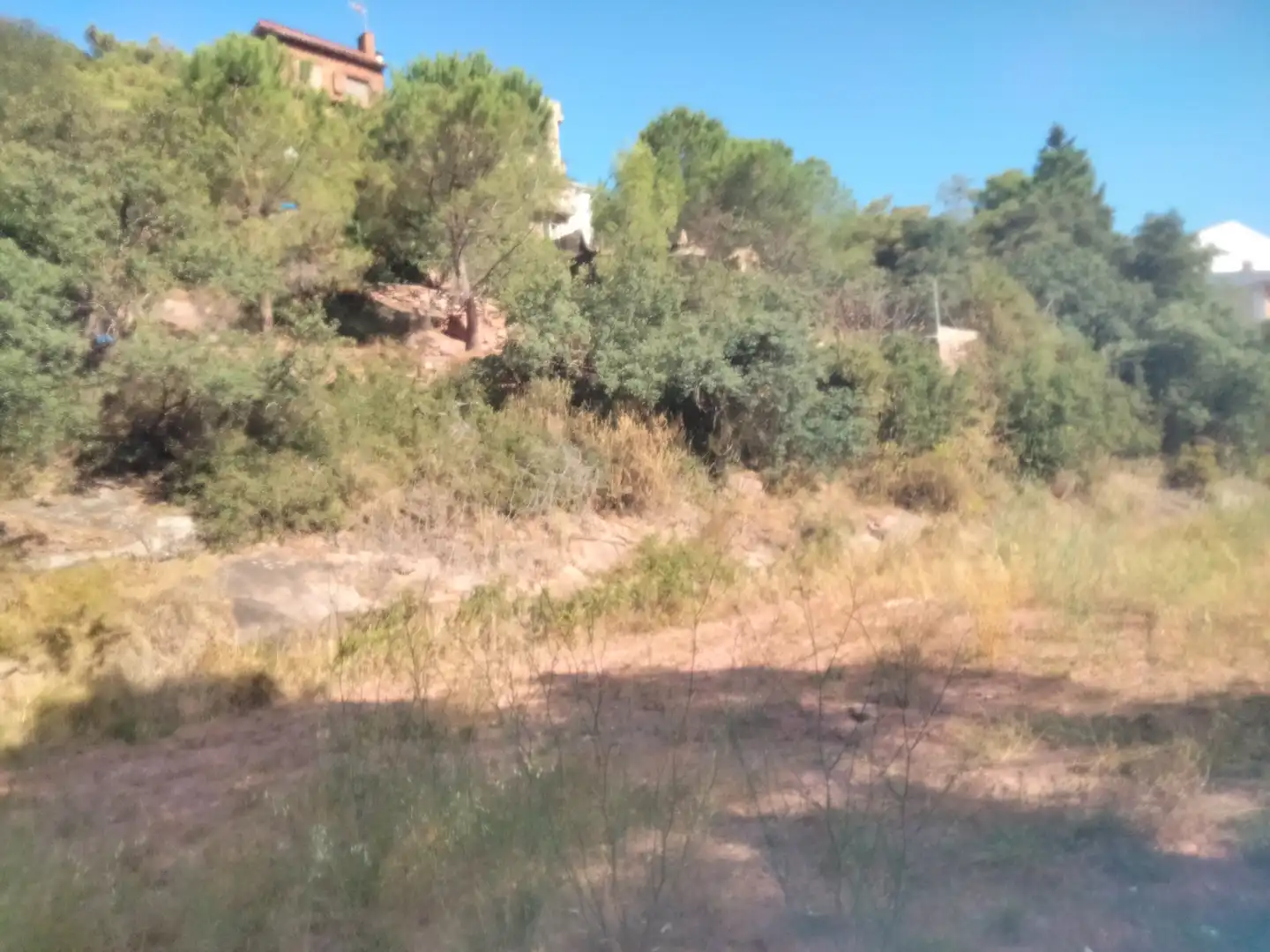 Rural land for sale in Gátova, imagen 2
