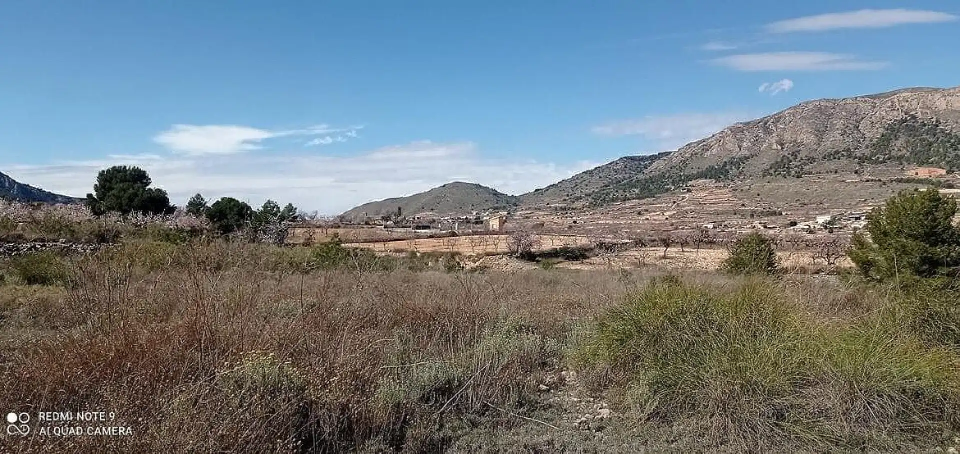 Terreny rústic en venda a La Romana, imagen 5