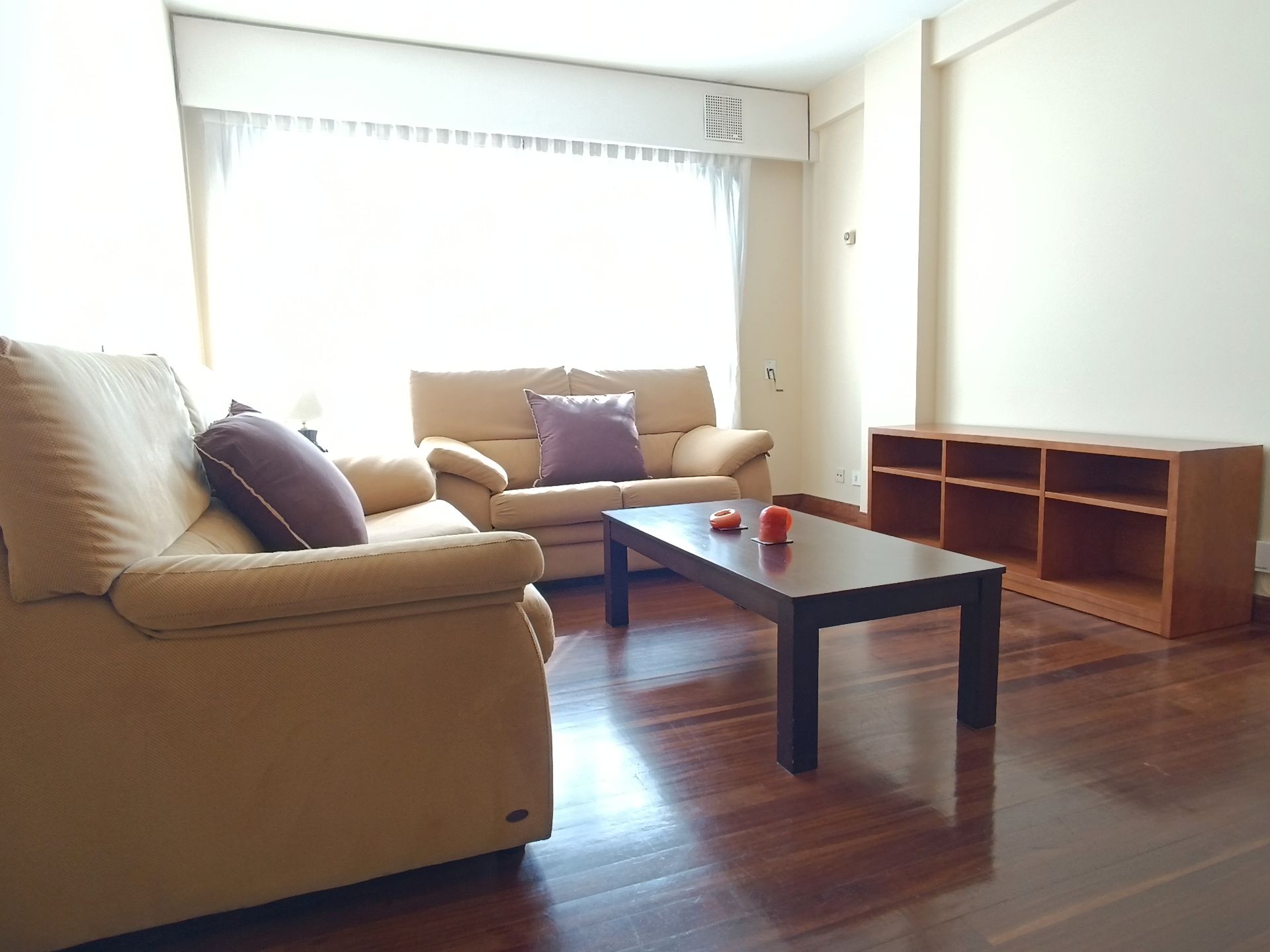 Sala d'estar de Apartament de lloguer en Pontevedra Capital  amb Calefacció, Parquet i Moblat