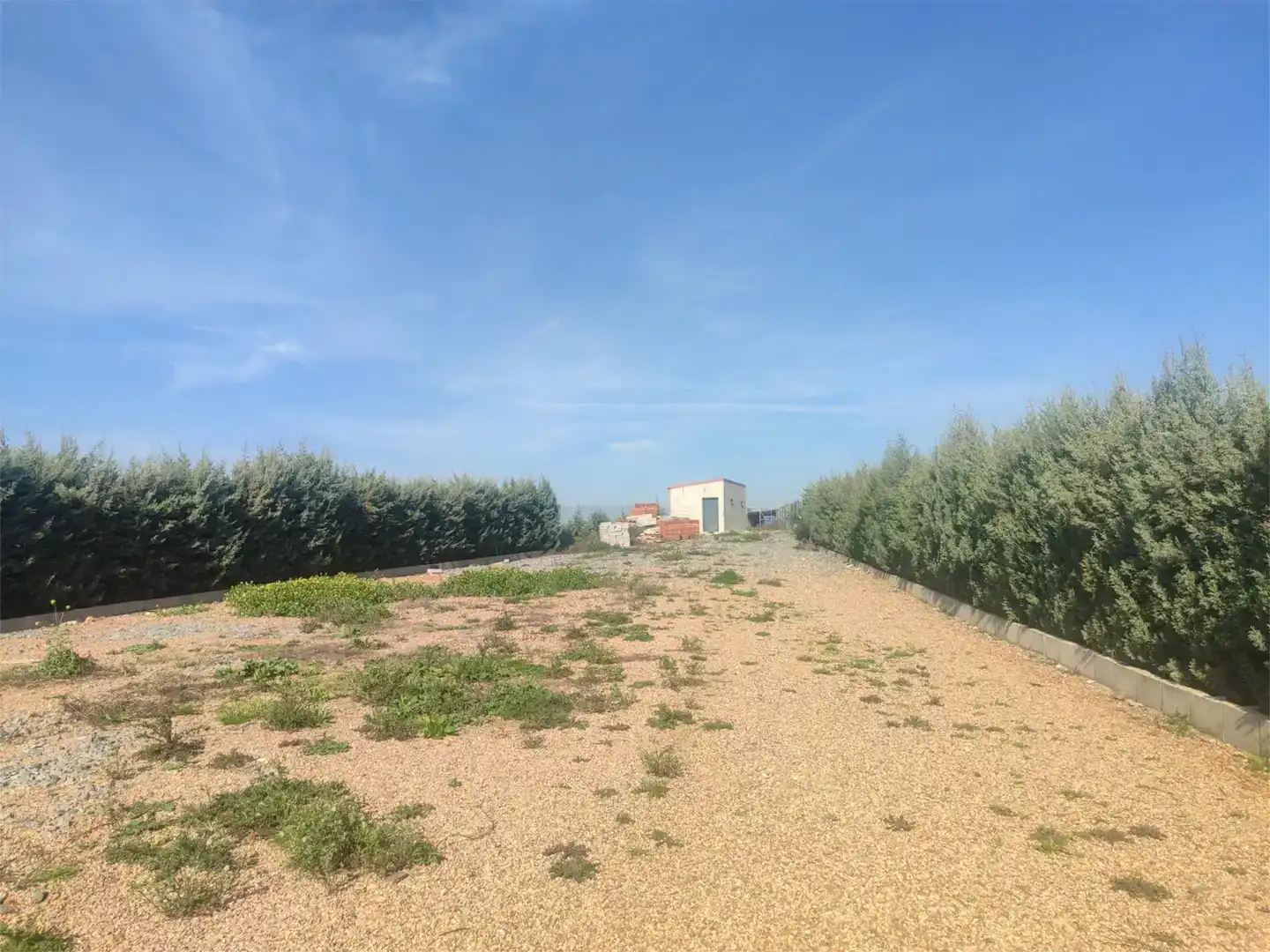 Land for sale in Guareña
