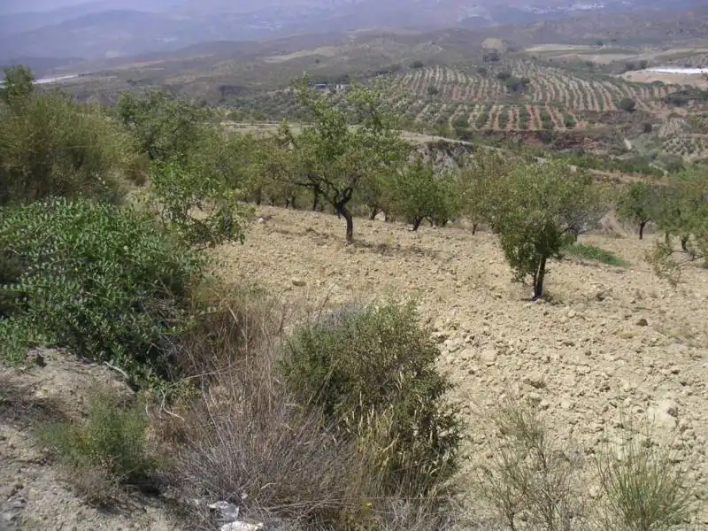 Casa o chalet en venta en Ugíjar