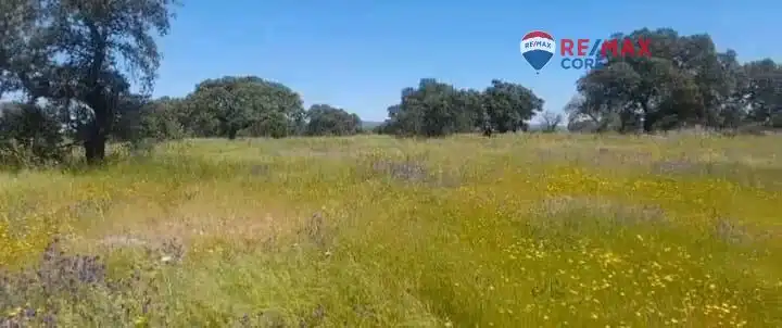 Terreni e lotti in vendita a Valverde de Mérida, imagen 7