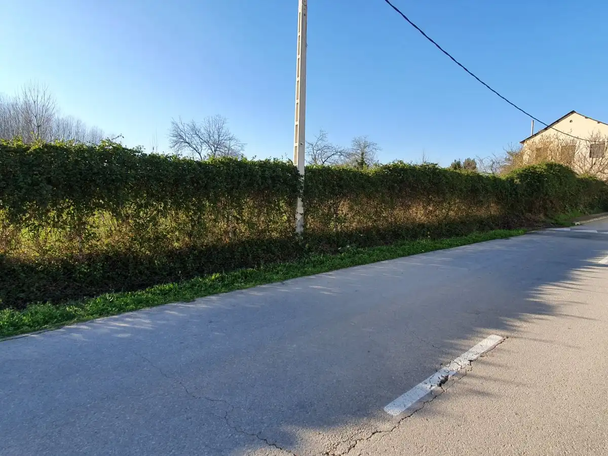 Terreni e lotti in vendita a Camponaraya